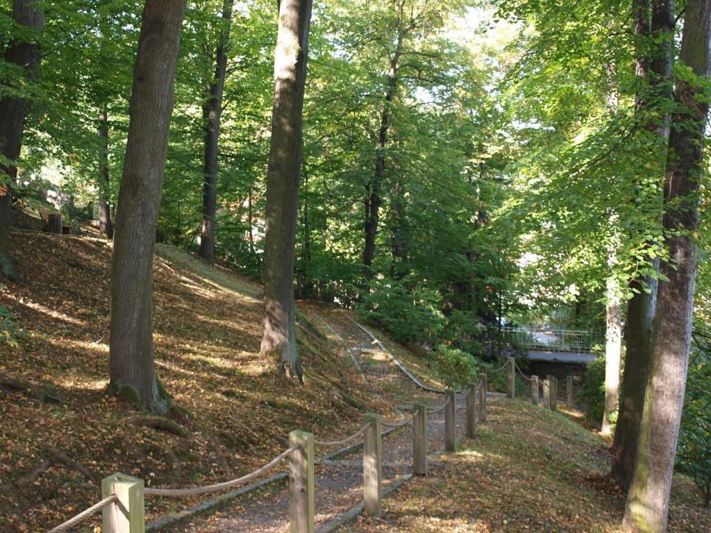 Hotel Saechsisches Haus Berggiesshubel Екстер'єр фото
